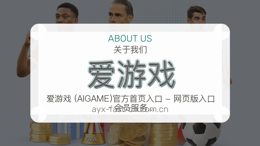 爱游戏关于我们